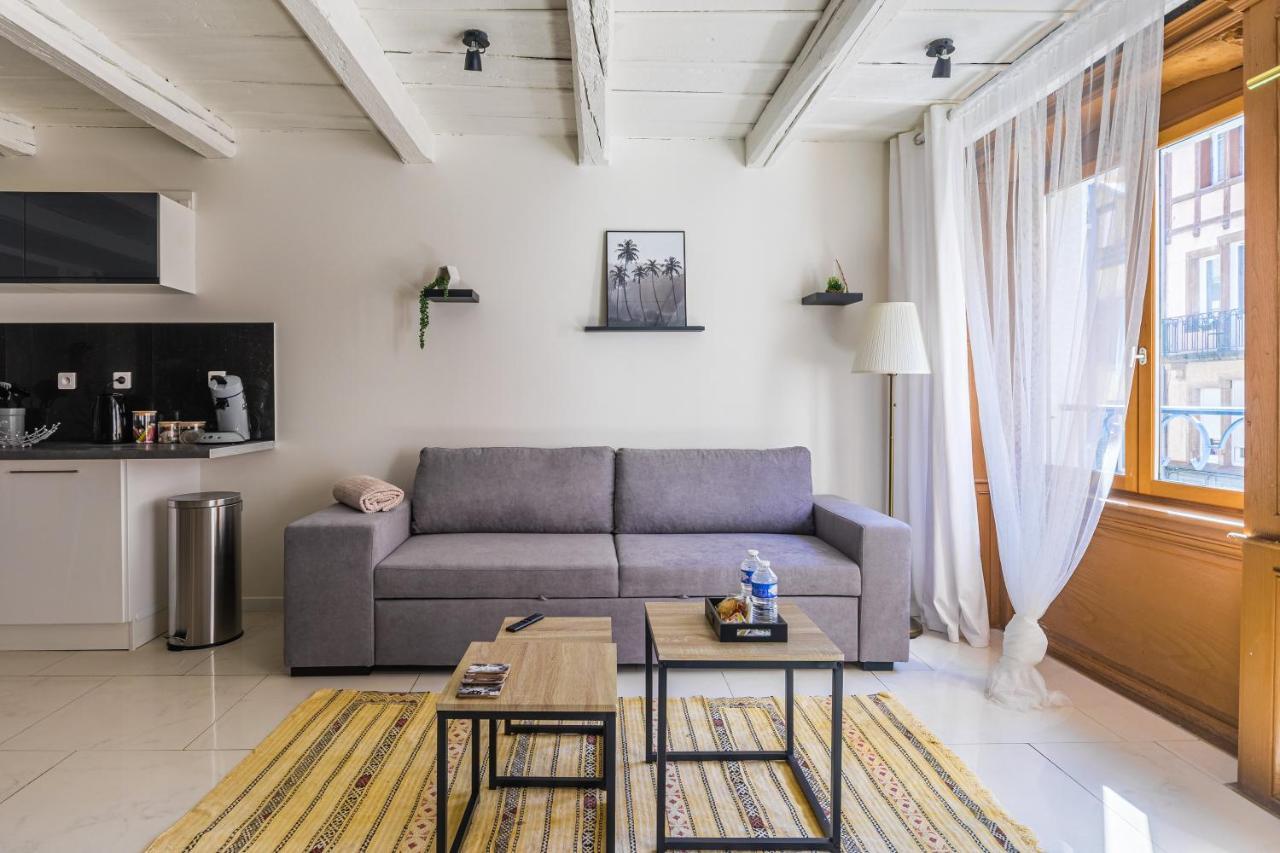 Le Georges Apartment Montbeliard Bagian luar foto